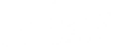 Earth Star logo